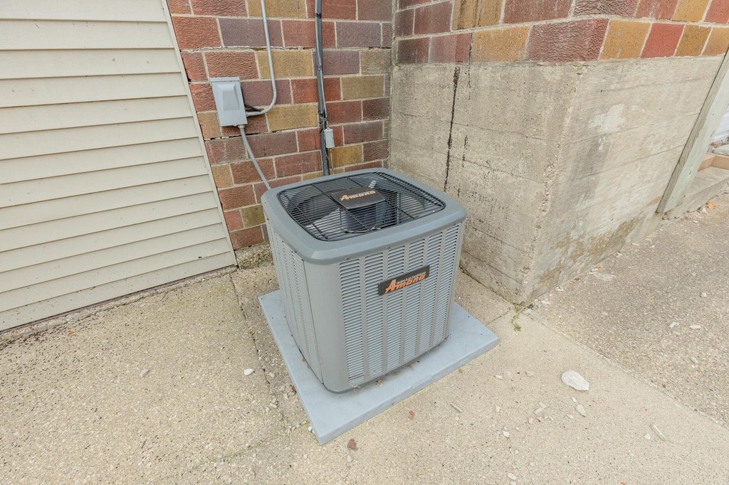 Picture 46