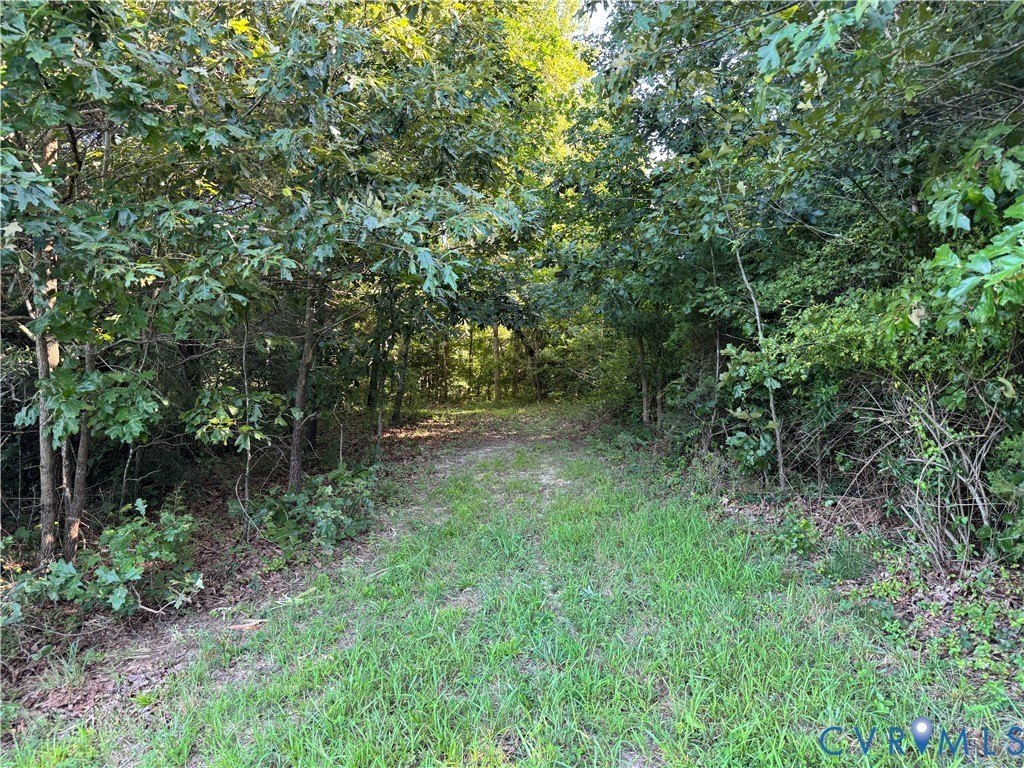 Picture 6