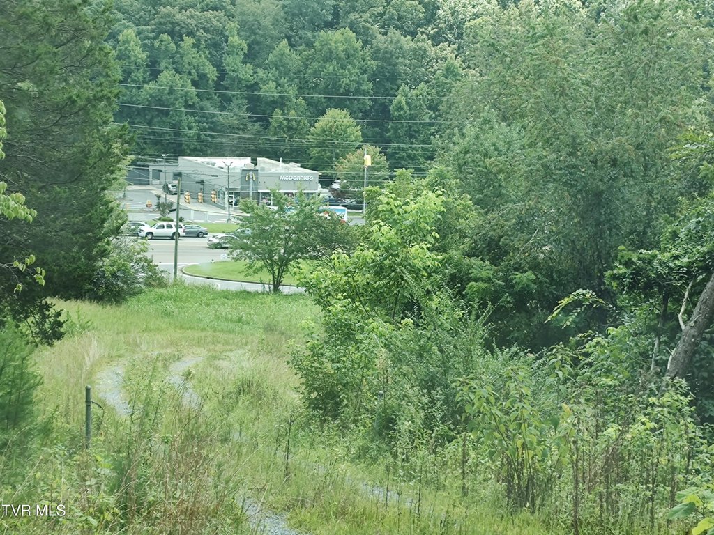 Picture 9