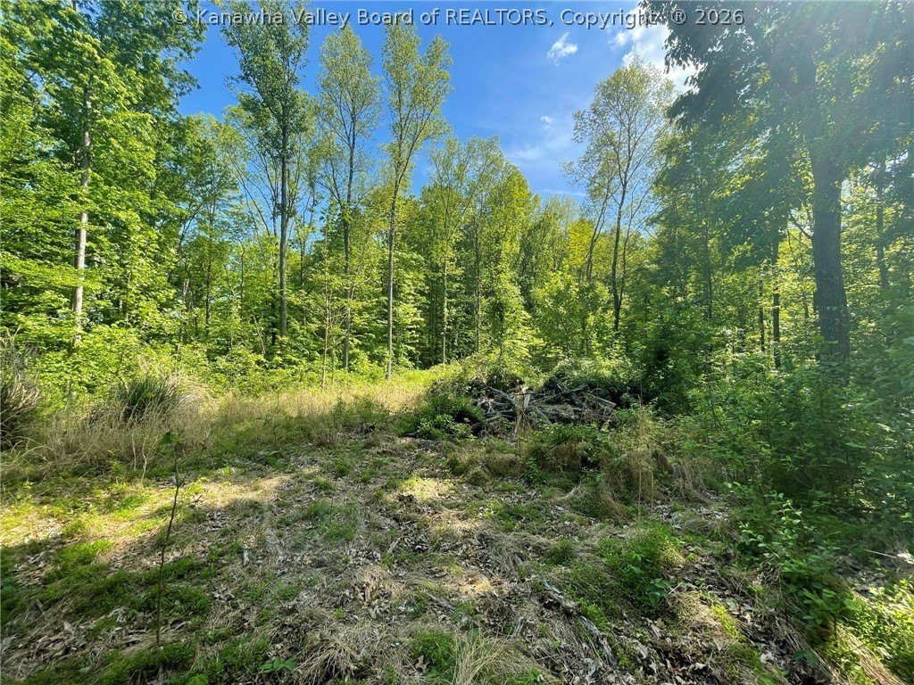 Picture 20
