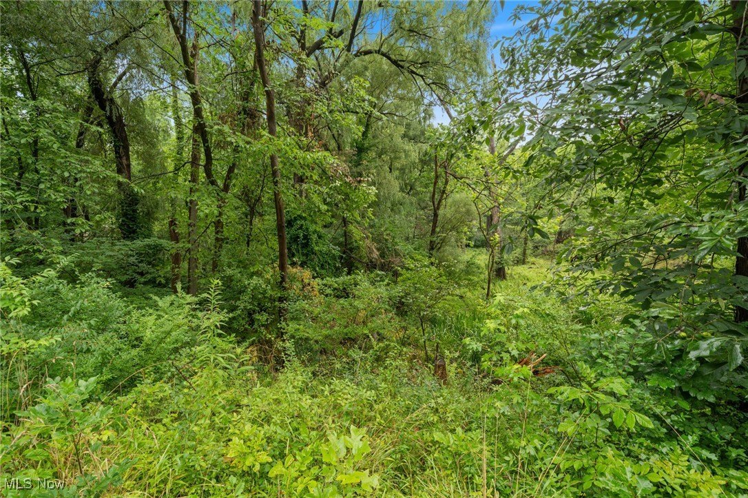 Land with Creek Access