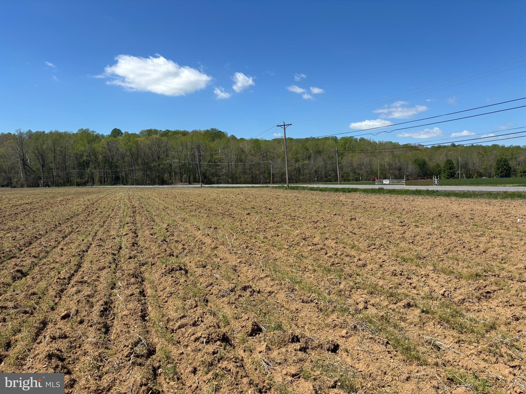 31.3 Acres of Versatile Land