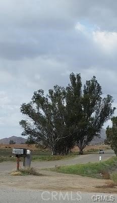 Picture 5