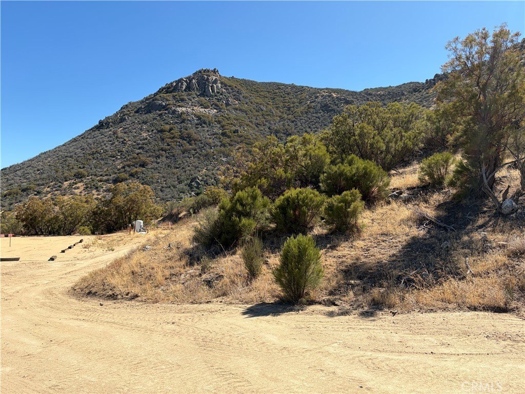 Picture 10