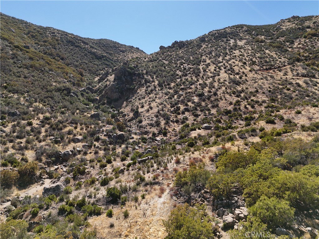 Picture 25