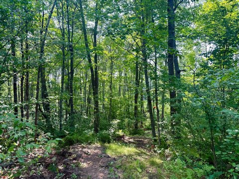 Land, Danbury, WI