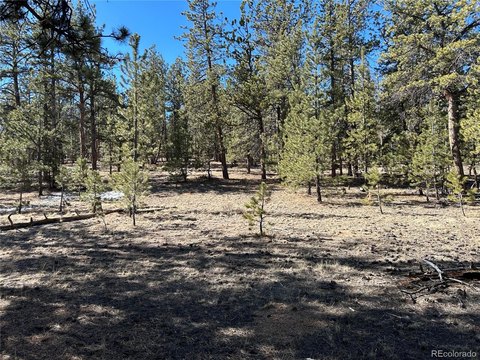 Land, Hartsel, CO