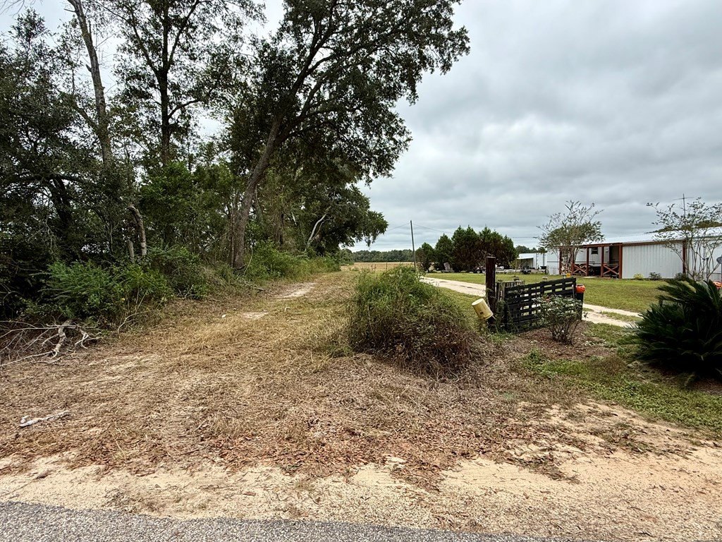 Picture 21