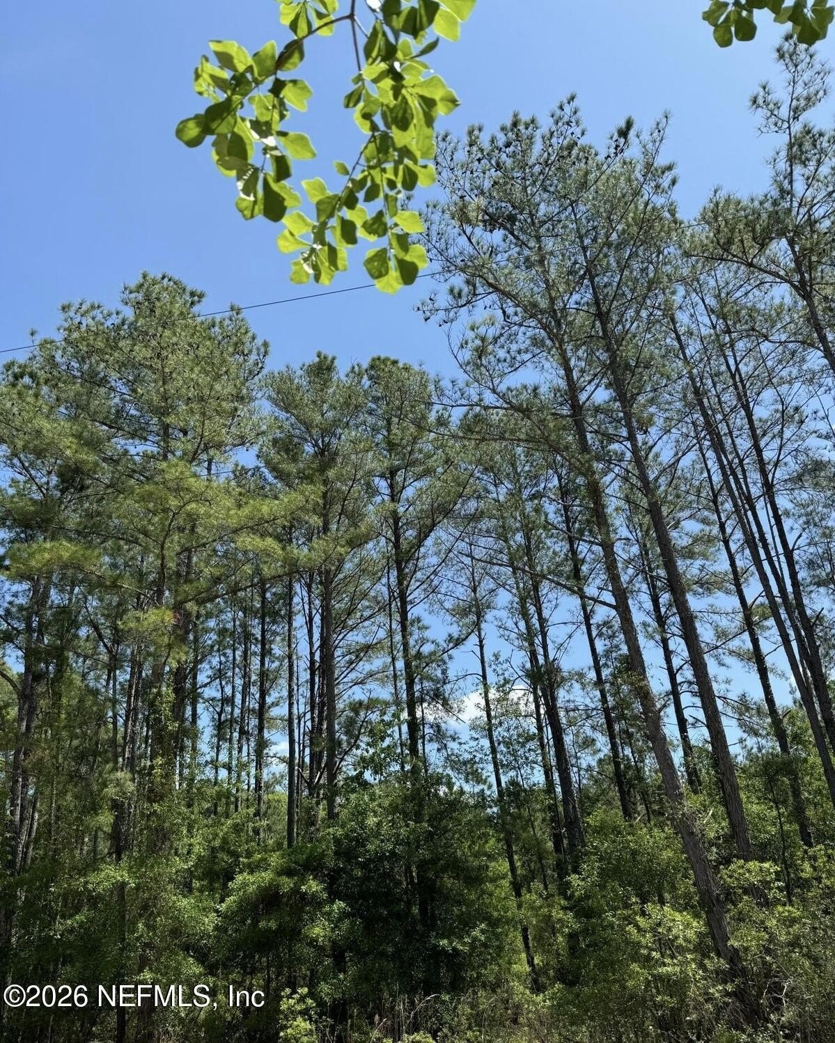 10 Acres in Bradford County