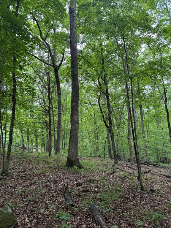 Picture 17