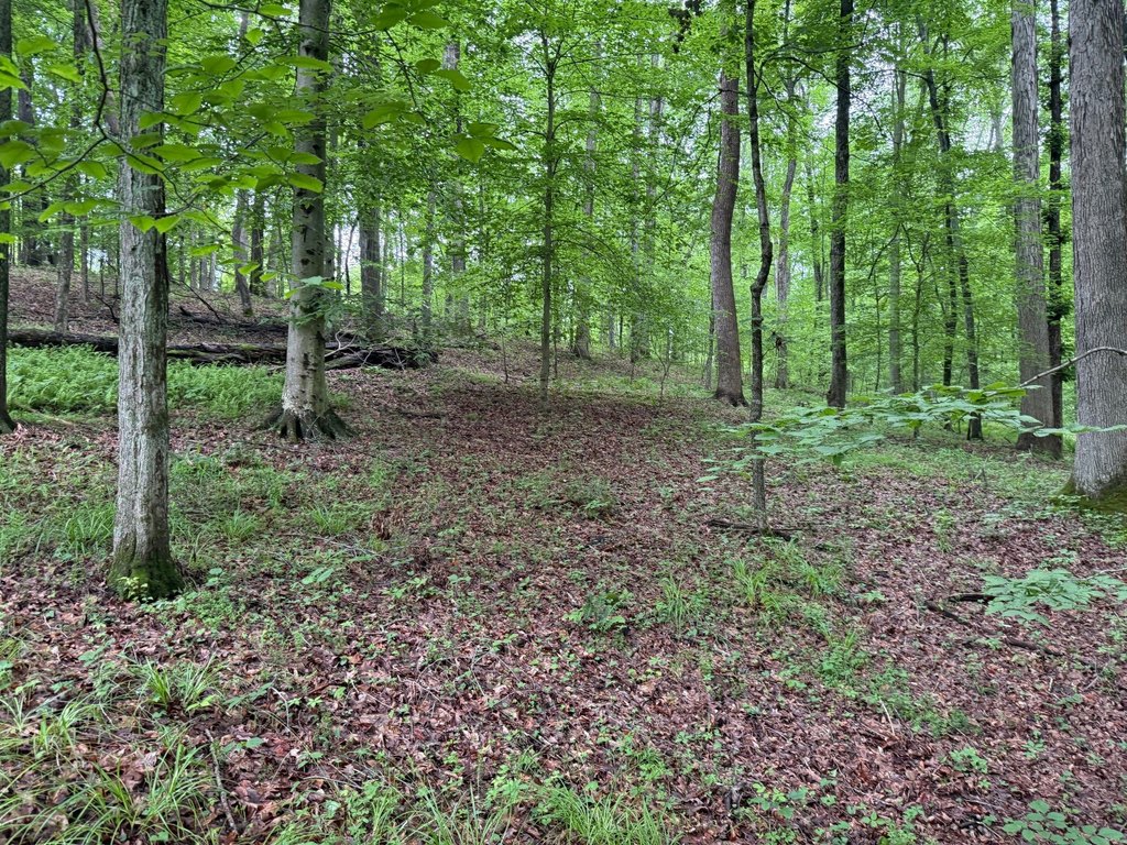 Picture 12