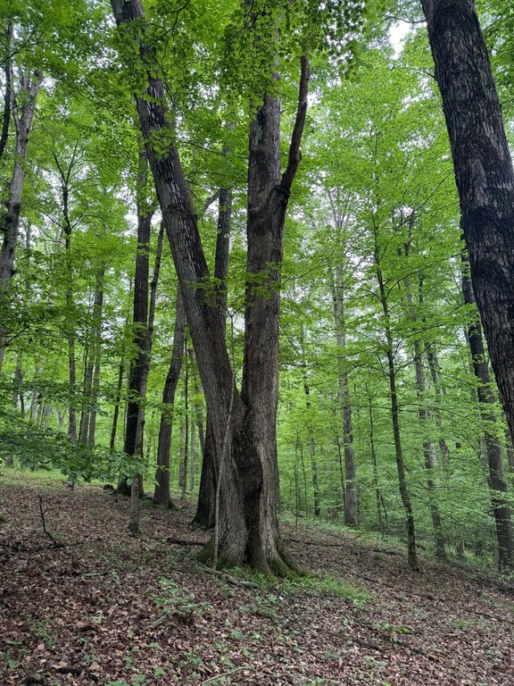 Picture 15