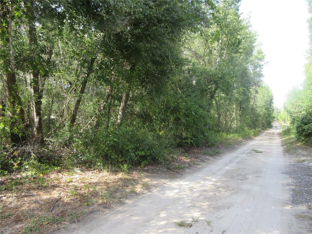 Picture 7