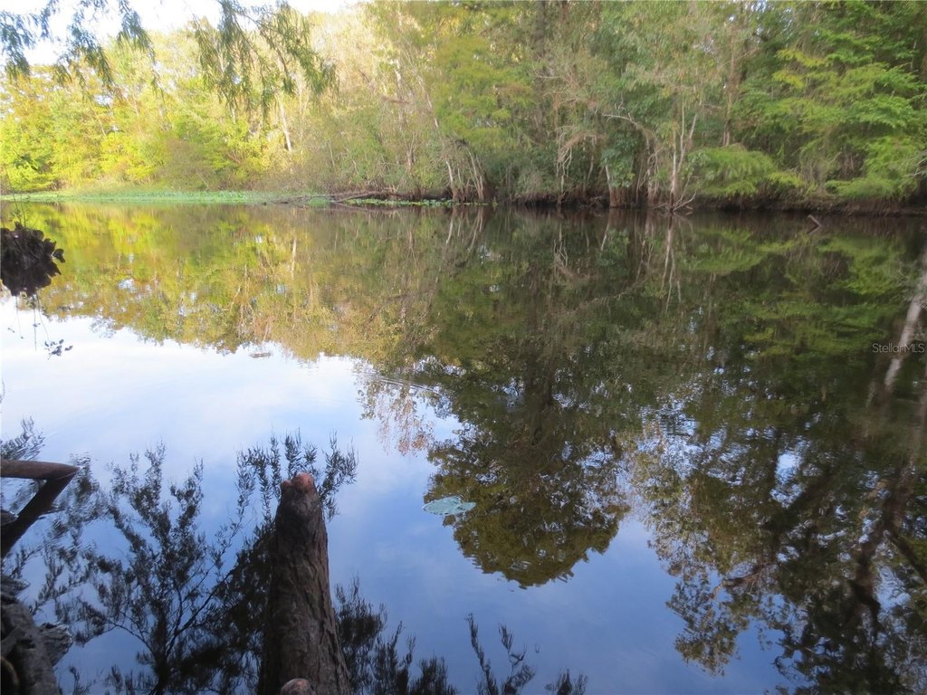 Picture 31
