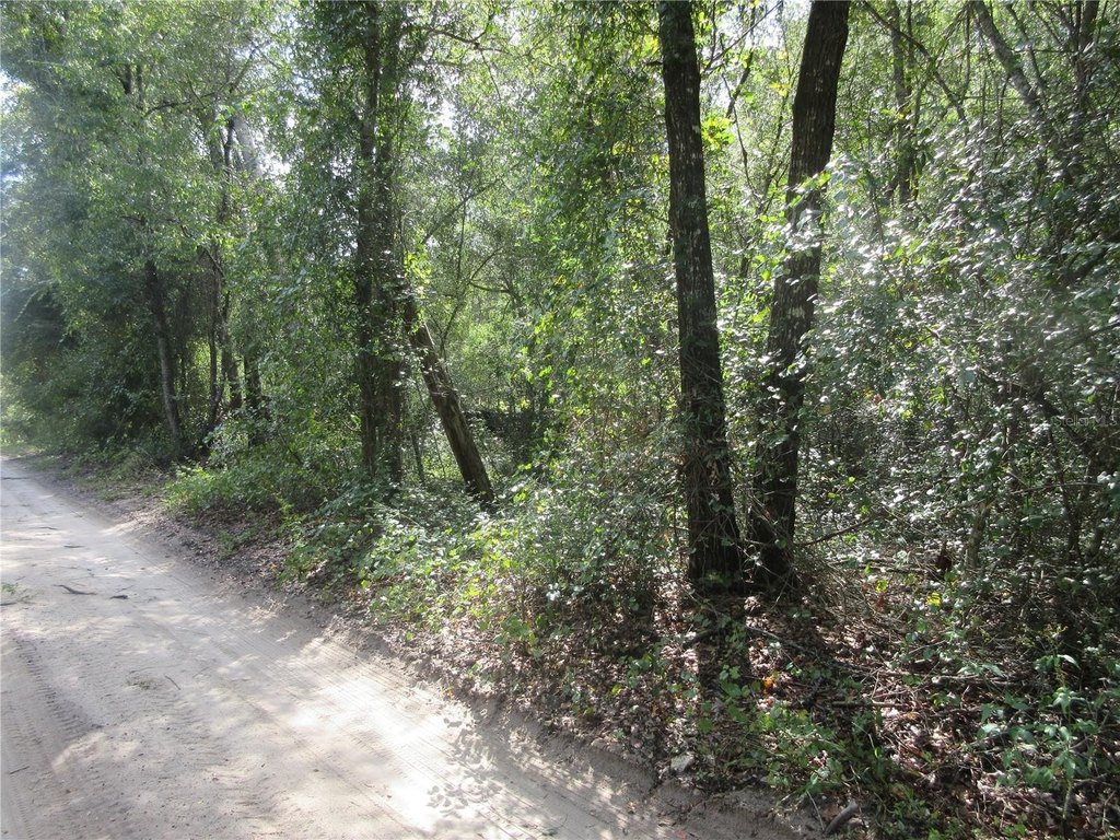 Picture 8