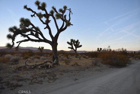 Land, Mojave, CA
