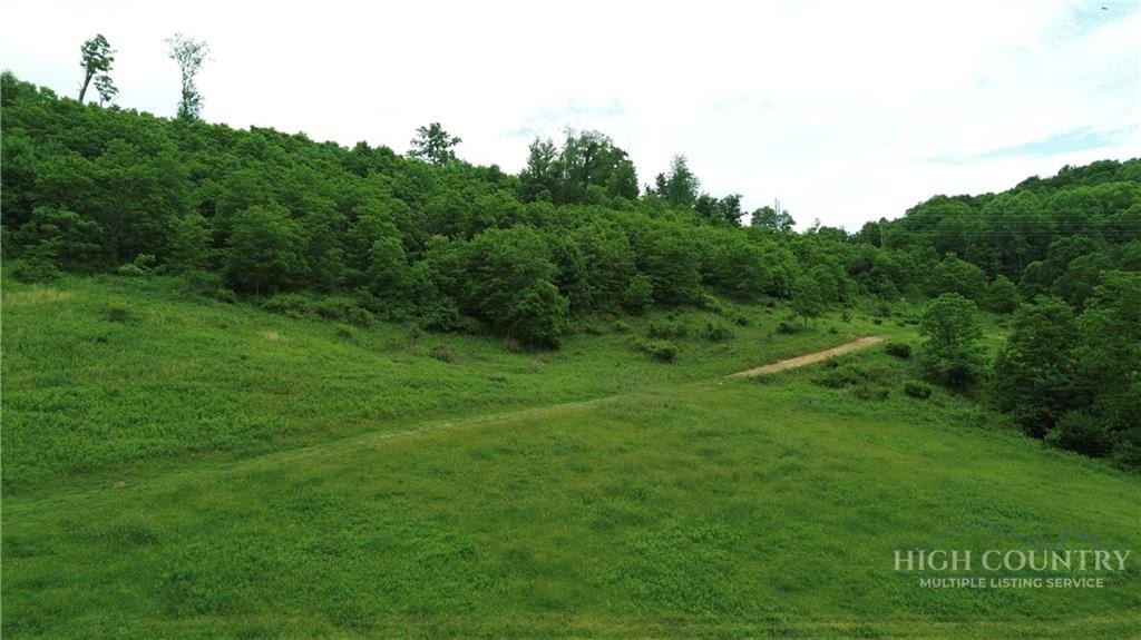 Picture 30