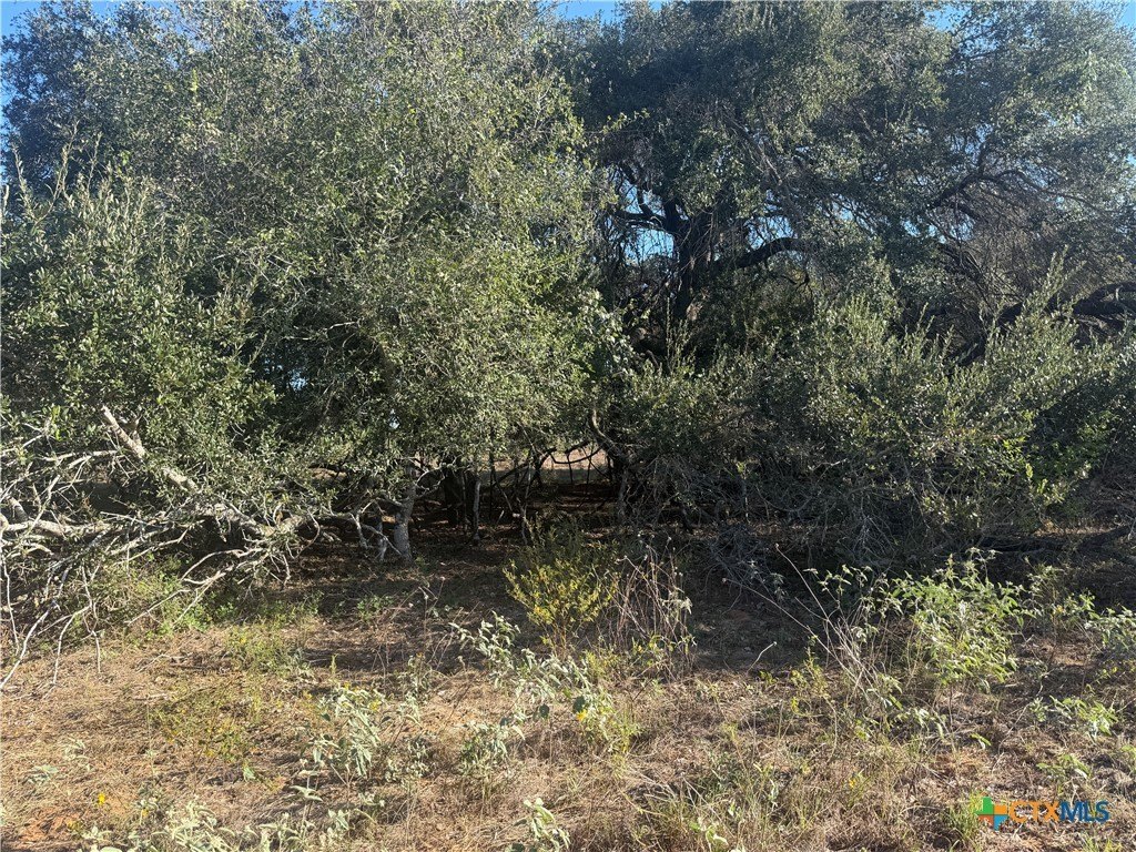 Picture 6