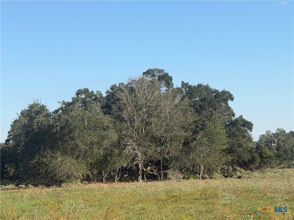 Picture 16