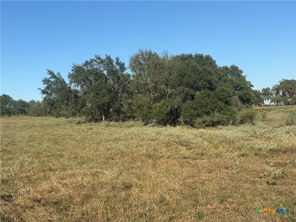 Picture 18