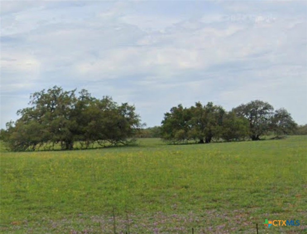 Picture 13