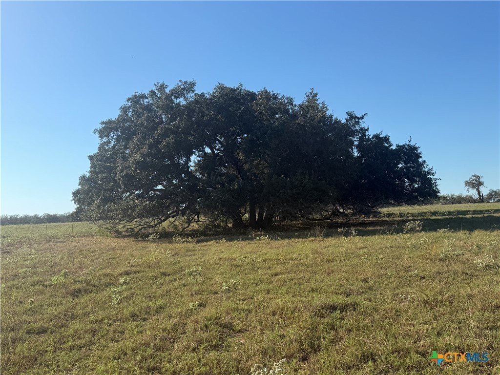 Picture 15