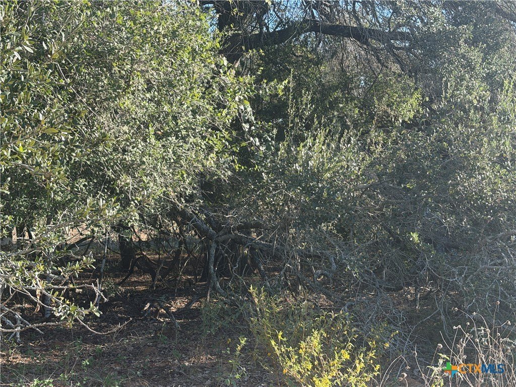 Picture 22