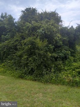 Spotsylvania Wooded Lot Ready to Build