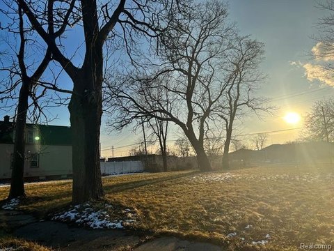 Detroit Land for New Development