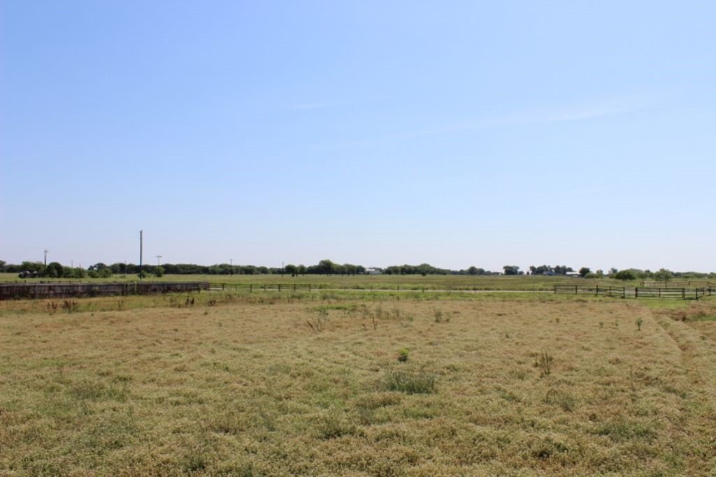 Picture 9