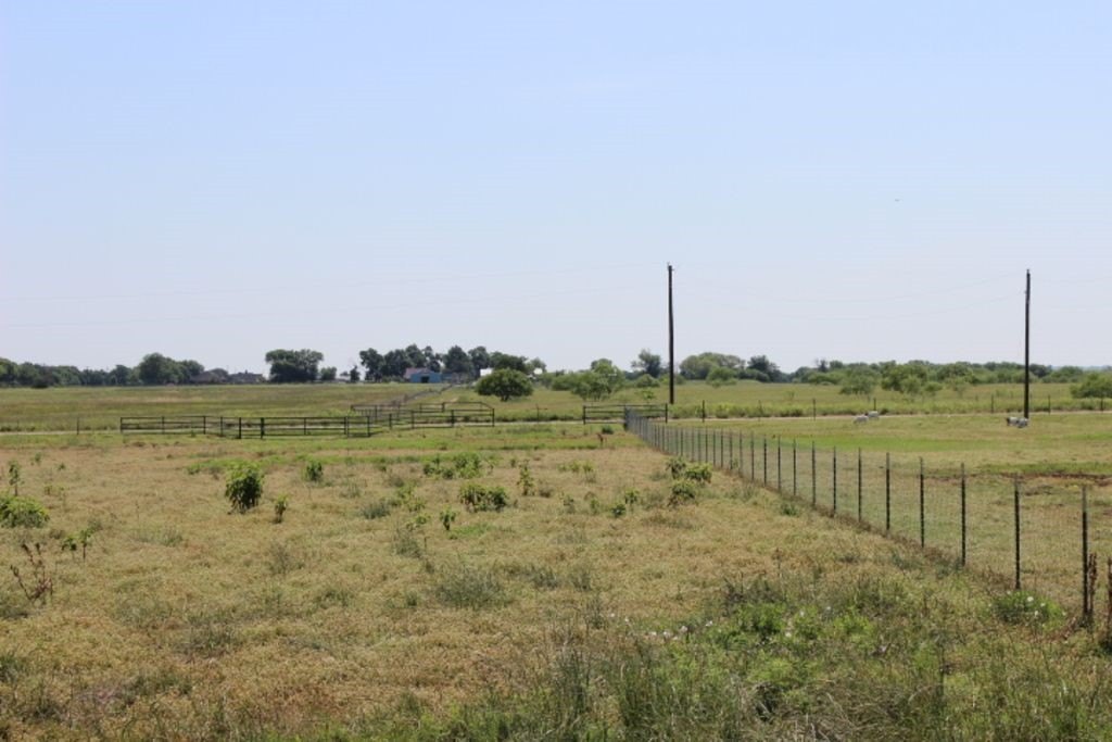Picture 21