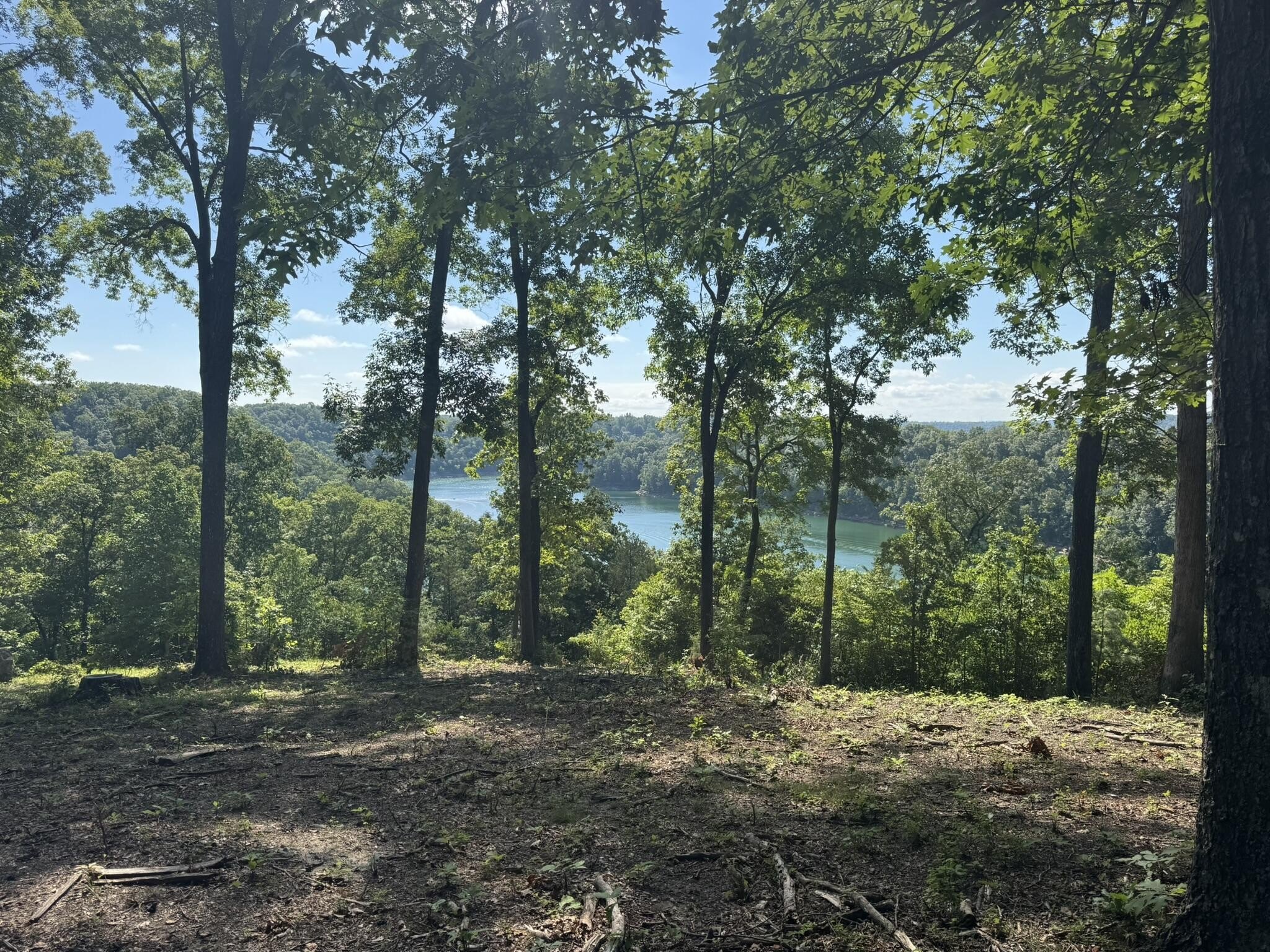 Lake View Acreage in Jamestown