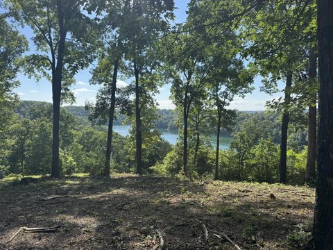 Lake View Land Opportunity