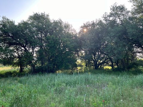 30.57 Acres on Highway 16