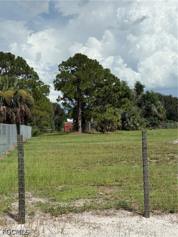 Picture 7