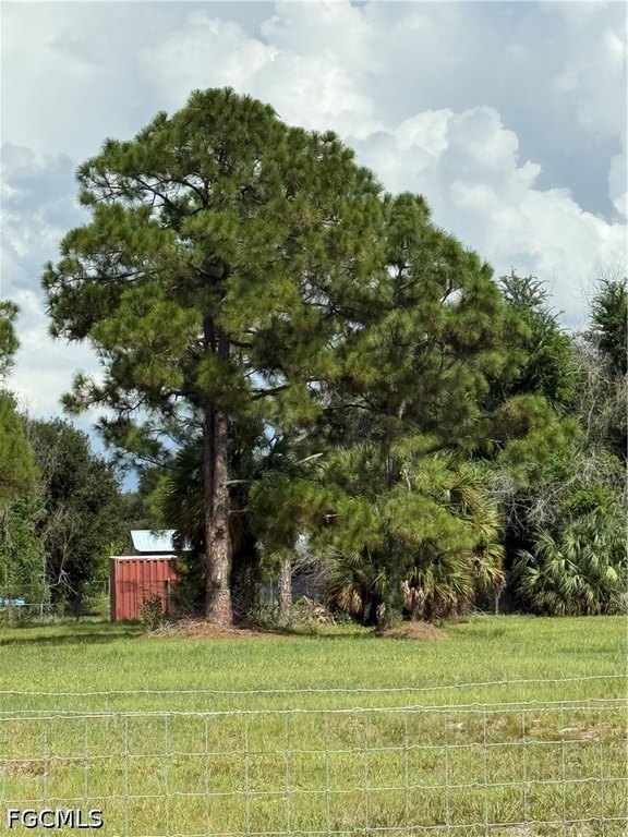 Picture 19