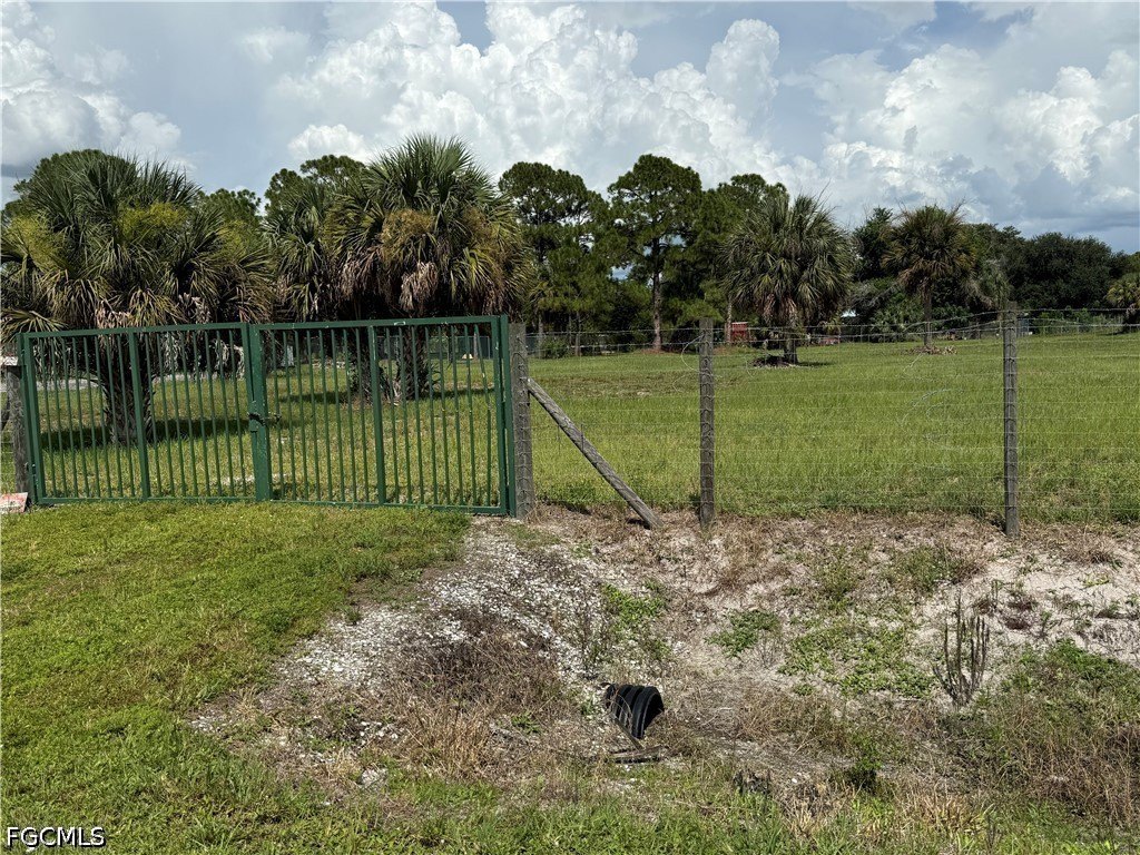 Picture 3