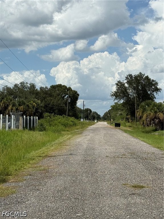 Picture 21