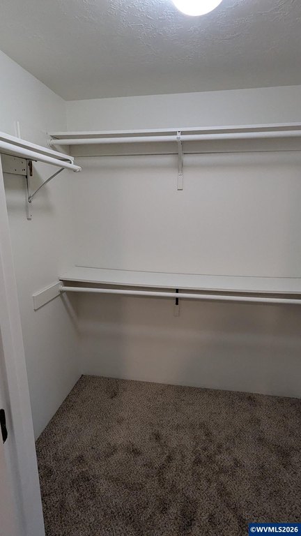 Picture 31