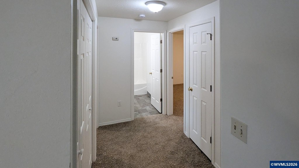 Picture 23