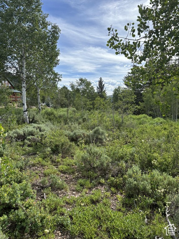 Picture 4