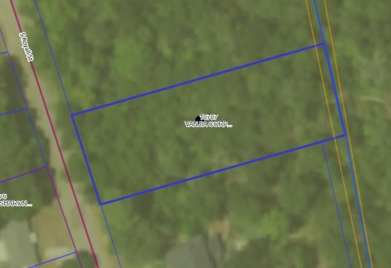 Undeveloped Land in Palestine, TX