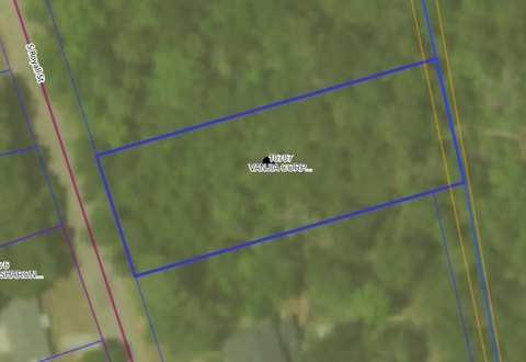 Undeveloped Land in Palestine, TX