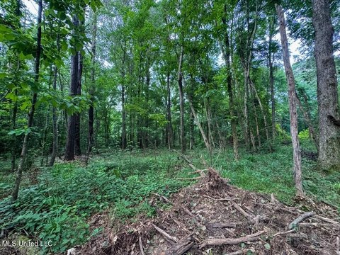 Secluded Roxie Land with Timber