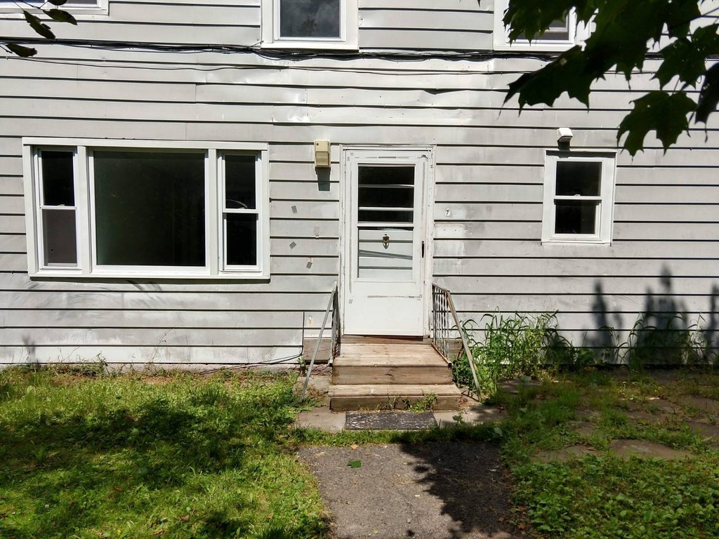 Picture 5