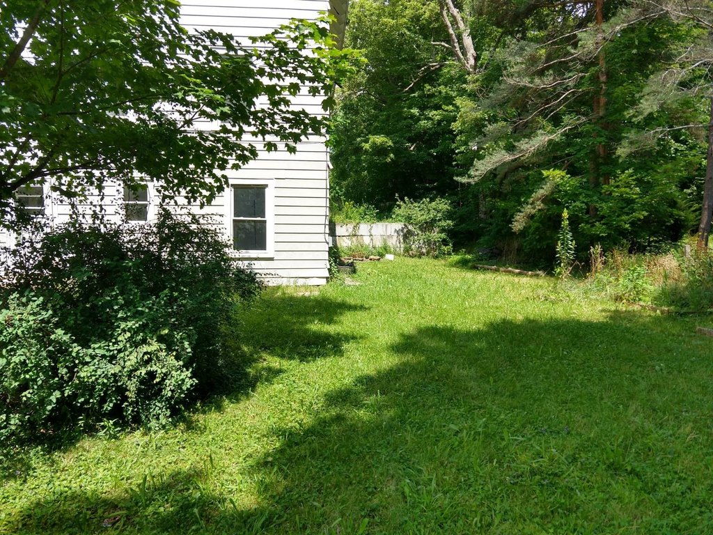 Picture 16