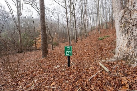 Murphy, NC Vacant Homesite