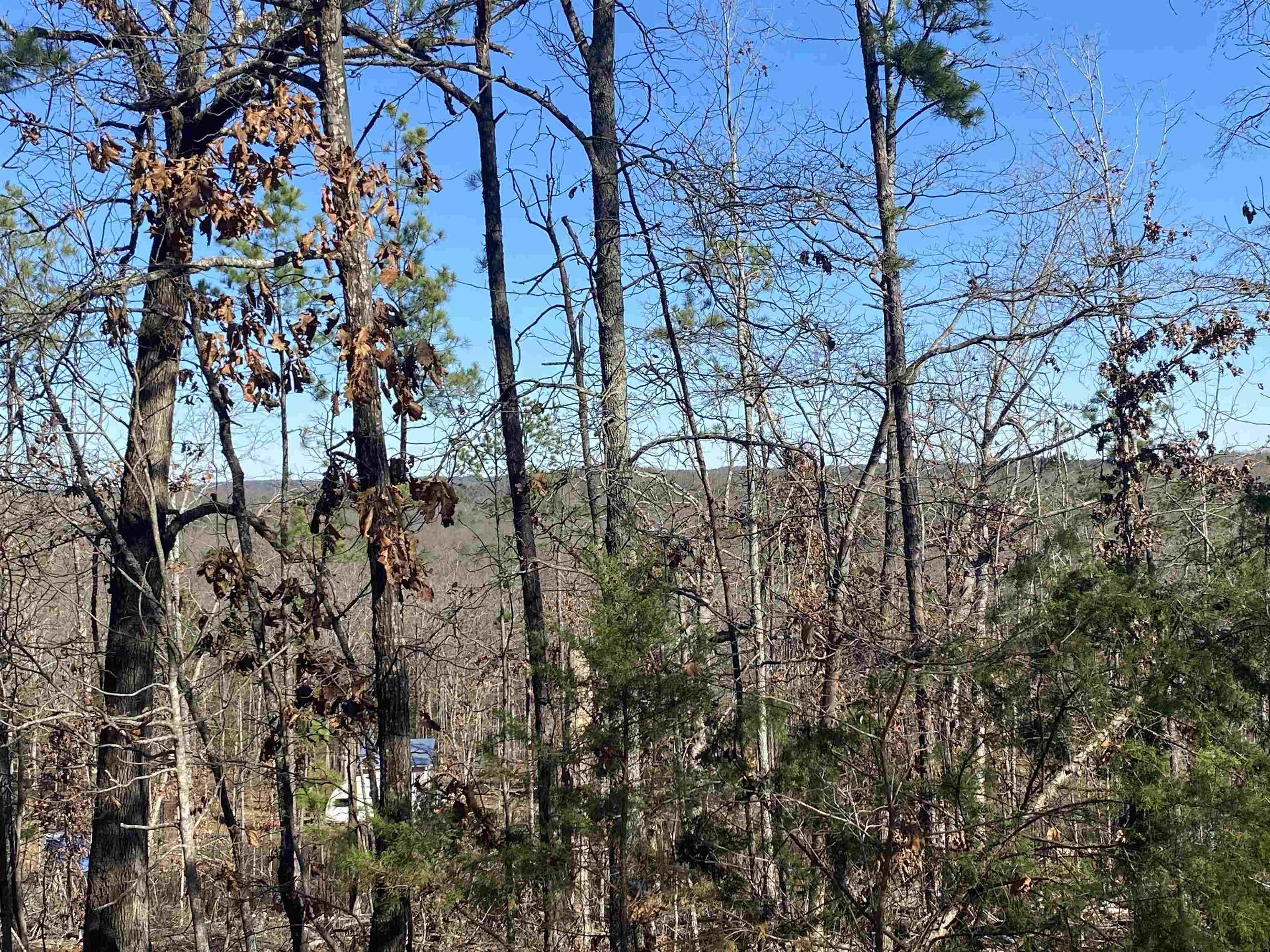 Remote Hunting and Recreation Land