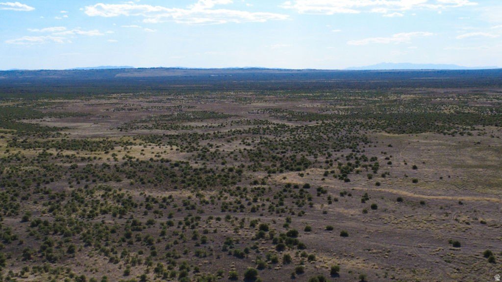 Picture 38