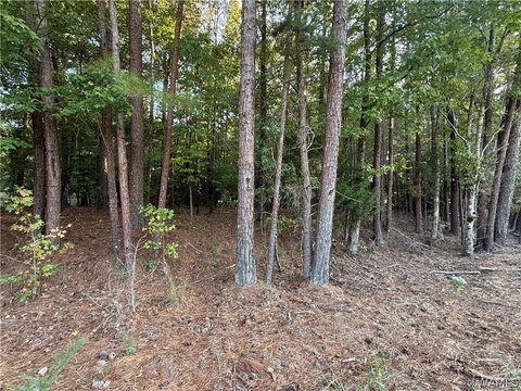 Land, Cottondale, AL